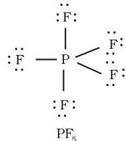 img-11.jpeg