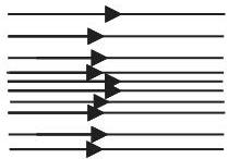img-10.jpeg