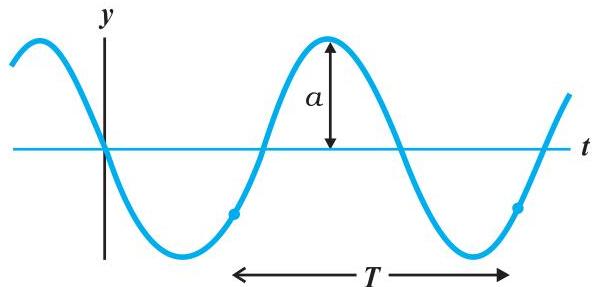 img-9.jpeg