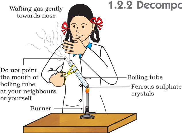 Figure 1.4 Correct way of heating the boiling tube containing crystals of ferrous sulphate and of smelling the odour