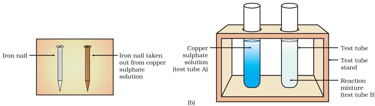 Figure 1.8 (b) Iron nails and copper sulphate solutions compared before and after the experiment