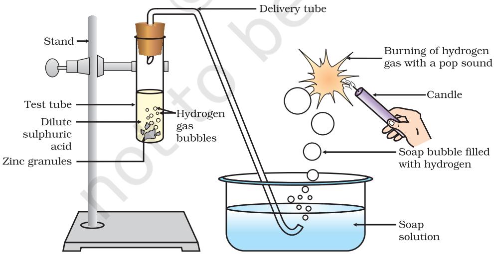Figure 2.1 Reaction of zinc granules with dilute sulphuric acid and testing hydrogen gas by burning