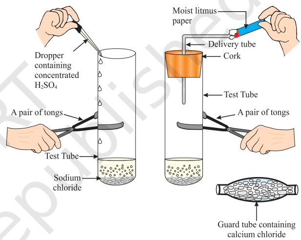 Figure 2.4 Preparation of HCl gas
