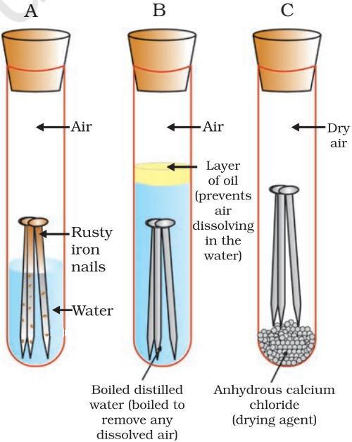 Figure 3.13 Investigating the conditions under which iron rusts. In tube A, both air and water are present. In tube B, there is no air dissolved in the water. In tube C, the air is dry.