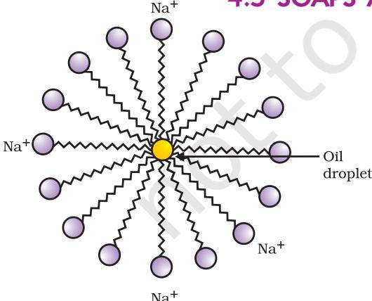 Figure 4.12 Formation of micelles