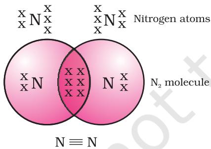 Figure 4.4 Triple bond between two nitrogen atoms