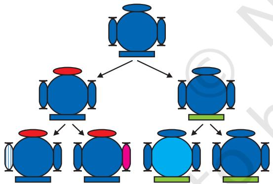 Figure 8.1 Creation of diversity over succeeding generations. The original organism at the top will give rise to, say, two individuals, similar in body design, but with subtle differences. Each of them, in turn, will give rise to two individuals in the next generation. Each of the four individuals in the bottom row will be different from each other. While some of these differences will be unique, others will be inherited from their respective parents, who were different from each other.