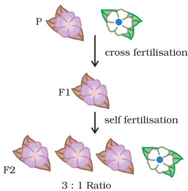 Figure 8.4