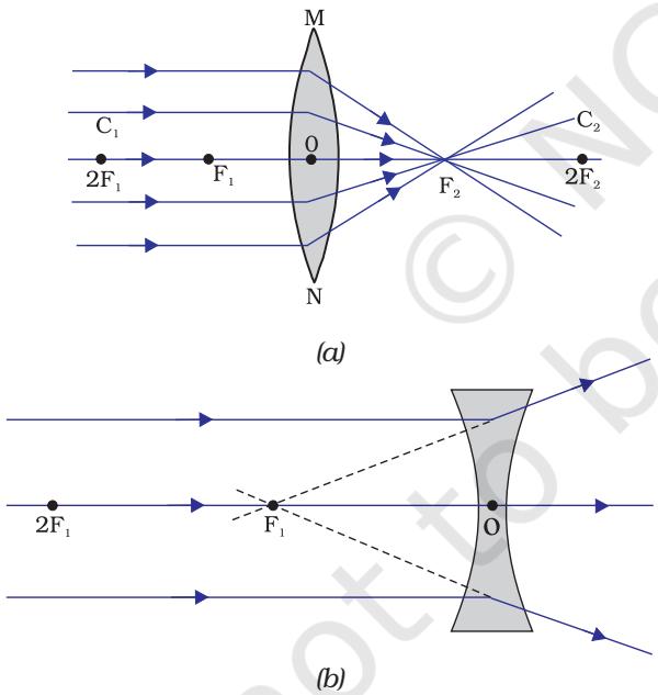 Figure 9.12 (a) Converging action of a convex lens, (b) diverging action of a concave lens