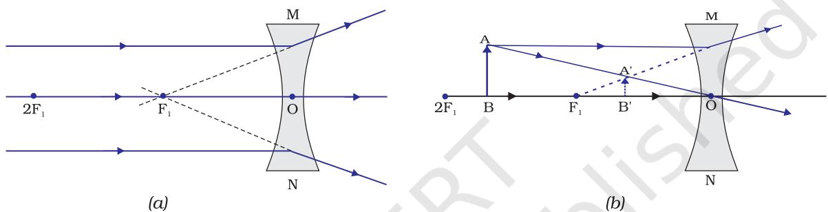 Figure 9.17 Nature, position and relative size of the image formed by a concave lens