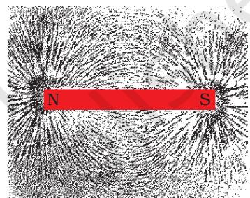 Figure 12.2 Iron filings near the bar magnet align themselves along the field lines.