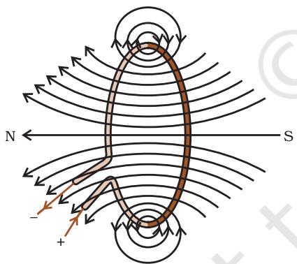 Figure 12.8 Magnetic field lines of the field produced by a current-carrying circular loop