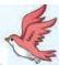img-3.jpeg